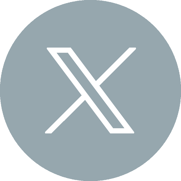 X/Twitter